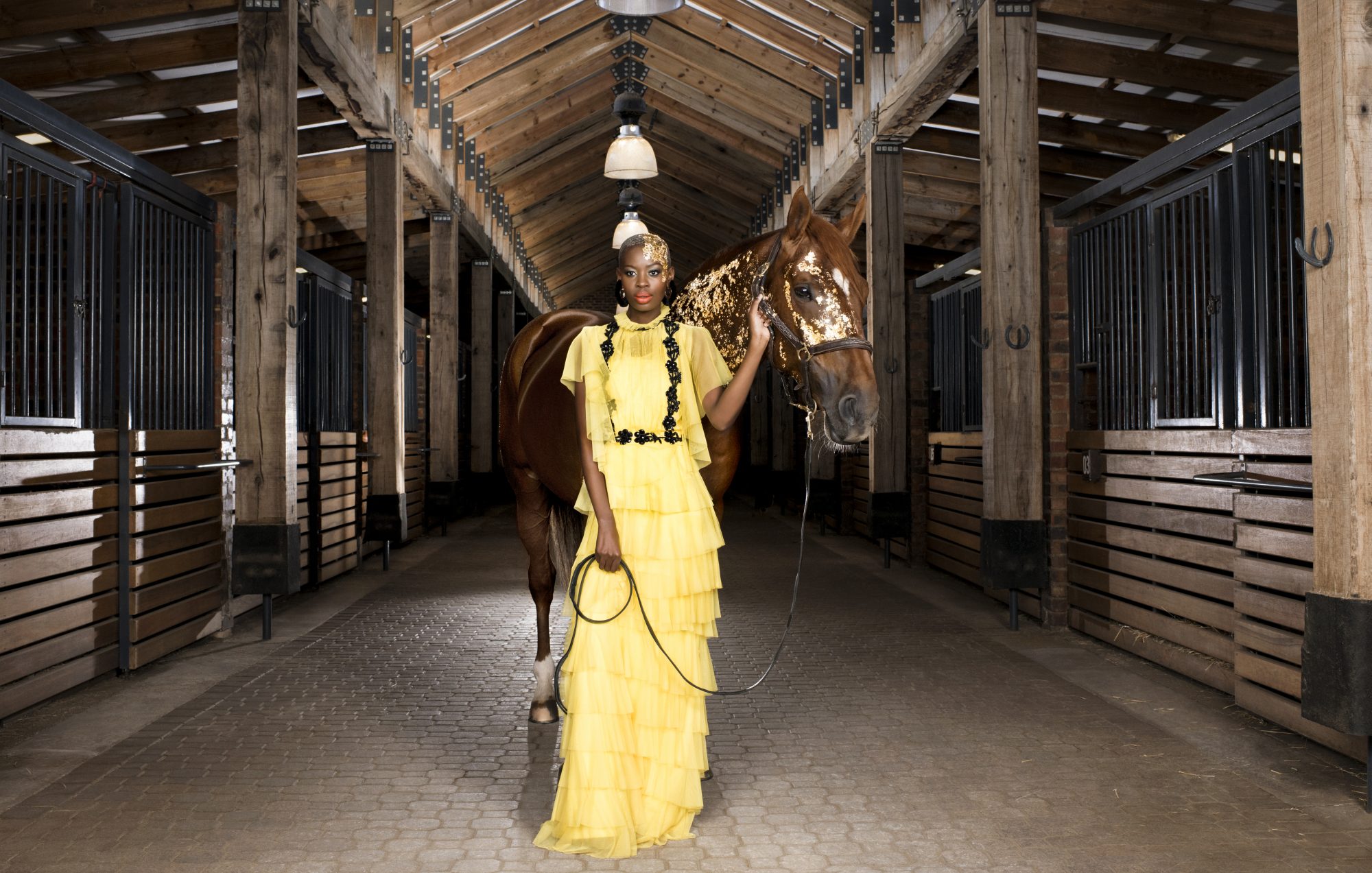 Steyn City_Luxury_Equestrian Centre_Stable