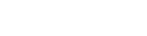 Steyn City Logo White