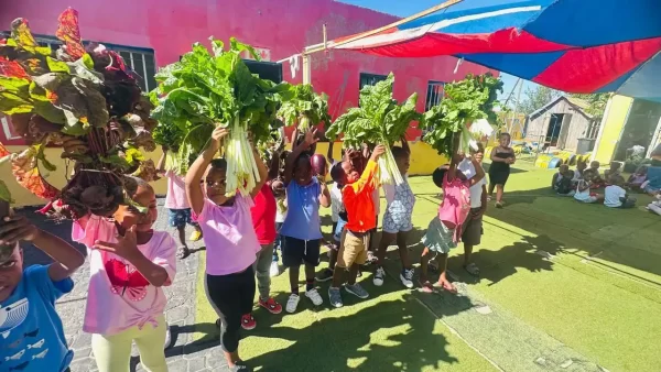 Steyn City: Promenade Post Aug 2025: Grow Zone