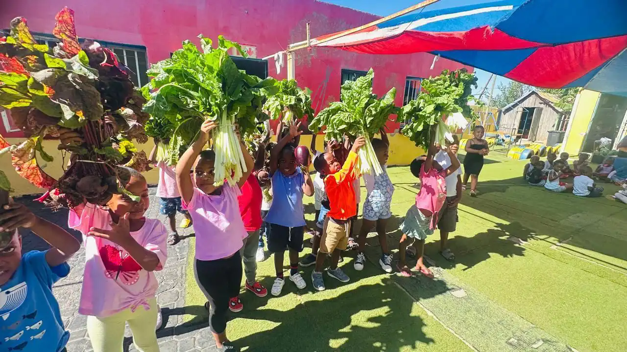 Steyn City: Promenade Post Aug 2025: Grow Zone