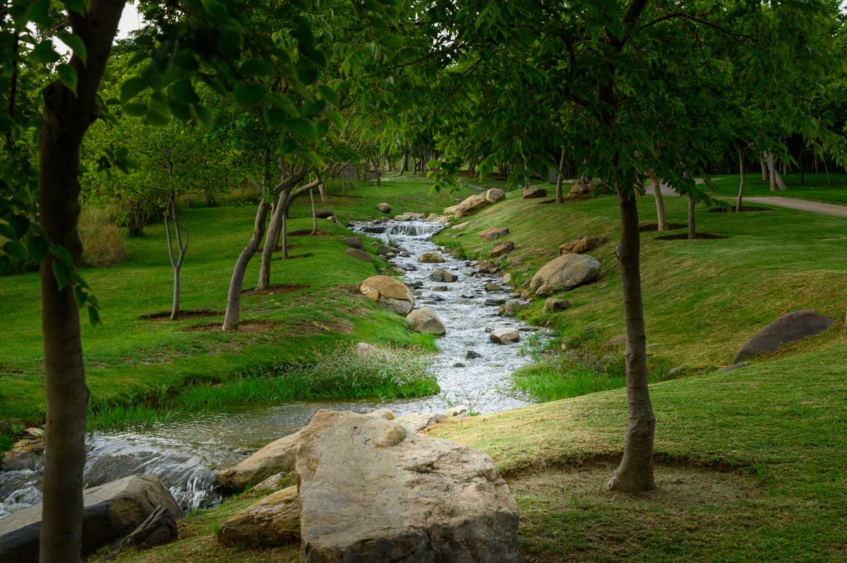 Steyn City Parklands about