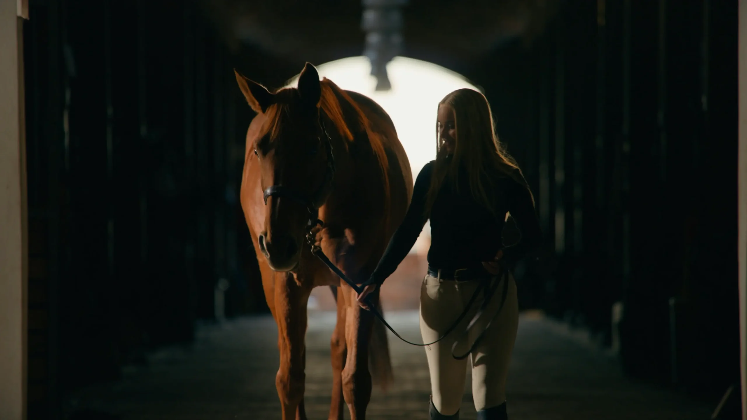 Steyn City - Experiences - Horse Rising